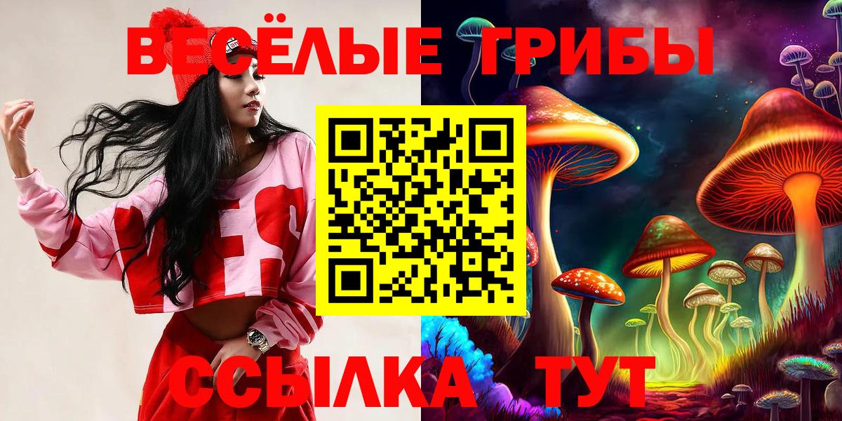 Галлюциногенные грибы GOLDEN TEACHER Азов